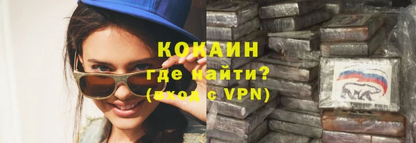 шишки Алзамай