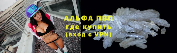 шишки Алзамай