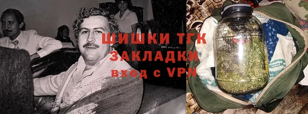 шишки Алзамай