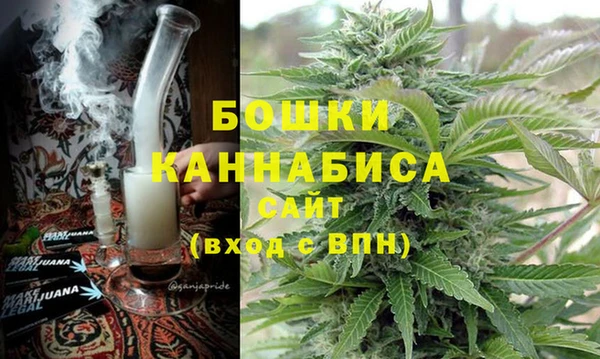 сатива Алексин
