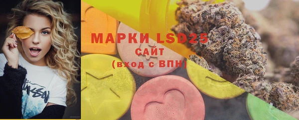 шишки Алзамай