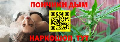 гашик Сланцы