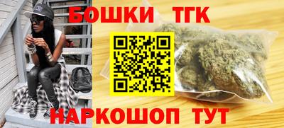 гашик Сланцы