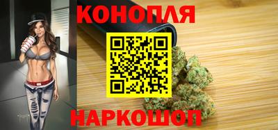 гашик Сланцы