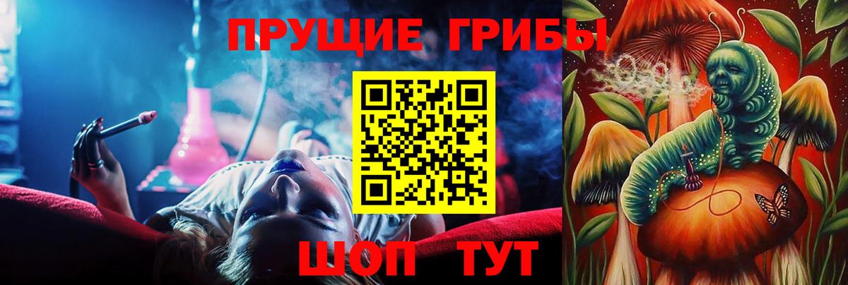 Псилоцибиновые грибы Magic Shrooms  Вход с VPN  Одинцово  купить наркотики цена  Псилоцибиновые грибы GOLDEN TEACHER 