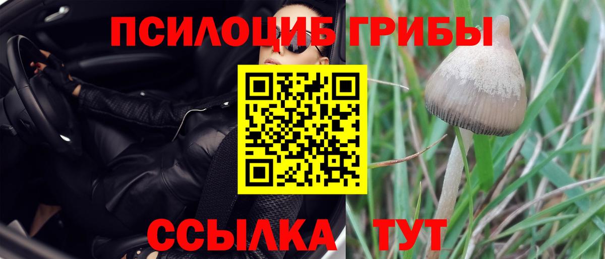 Галлюциногенные грибы ЛСД Одинцово